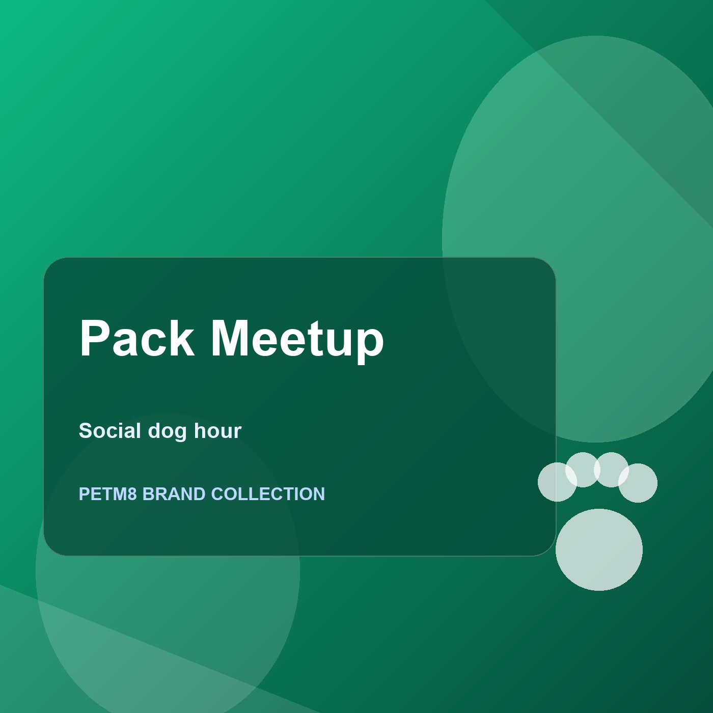 Group of happy dogs and owners at the beach