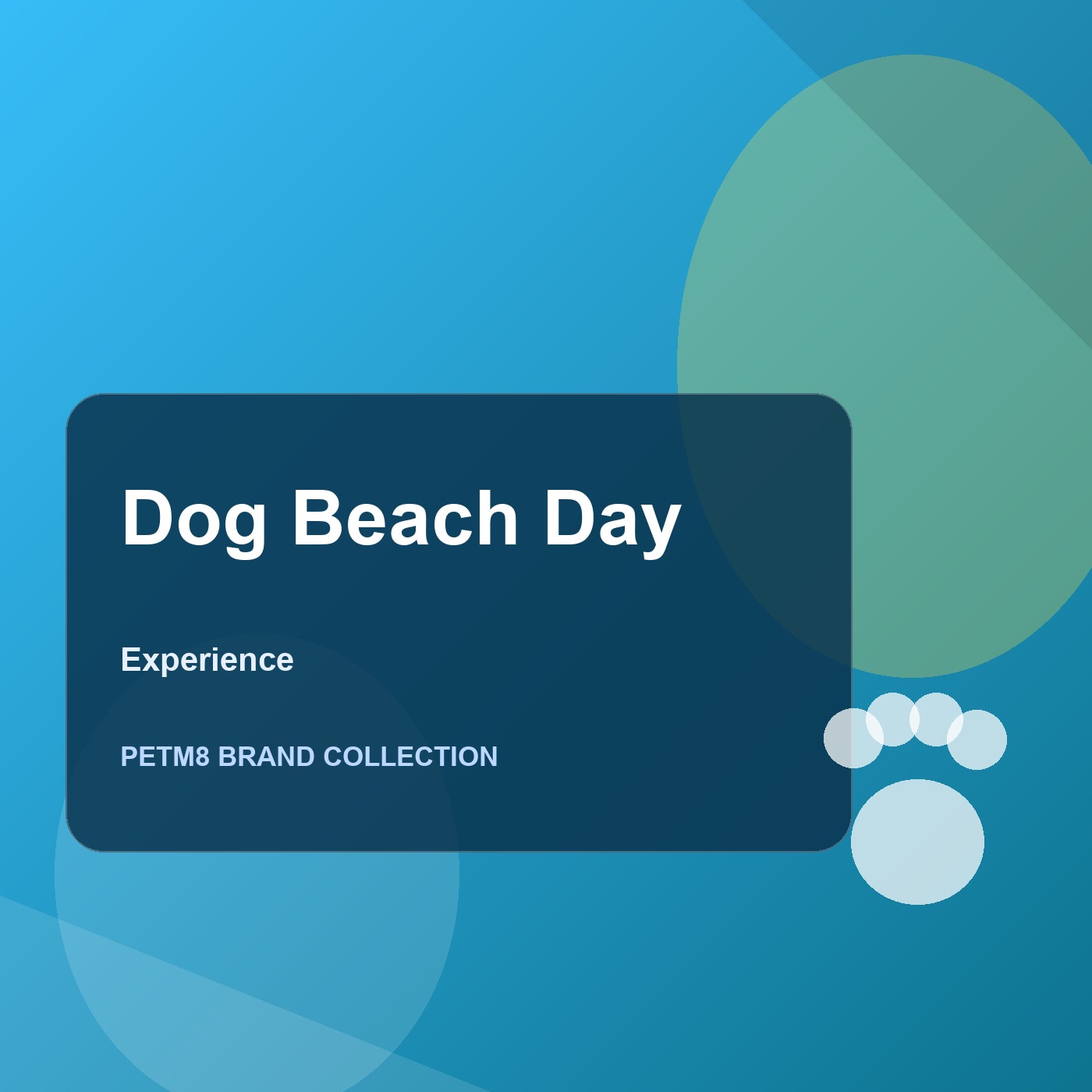 Dog Beach Day Experience